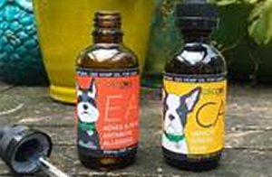 CBD Health